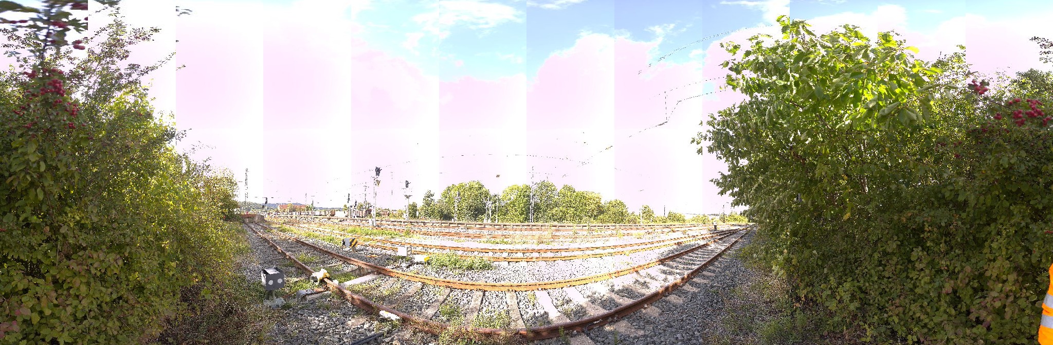 Panorama ScanPos190
