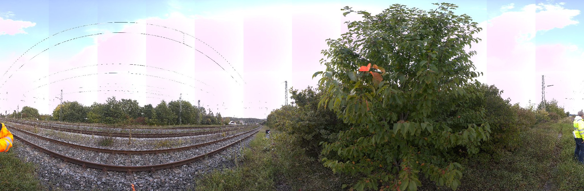 Panorama ScanPos441