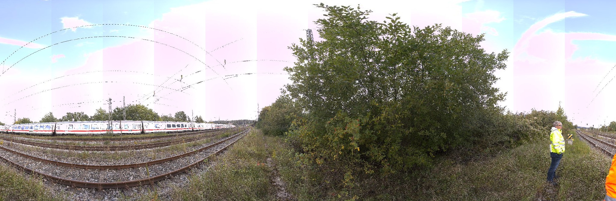 Panorama ScanPos444