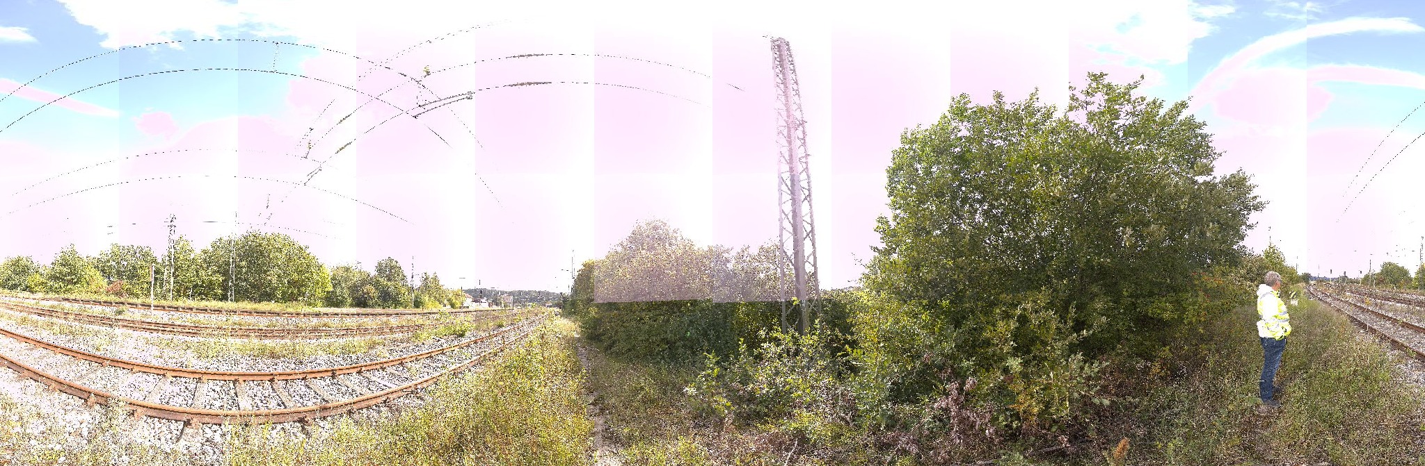 Panorama ScanPos445