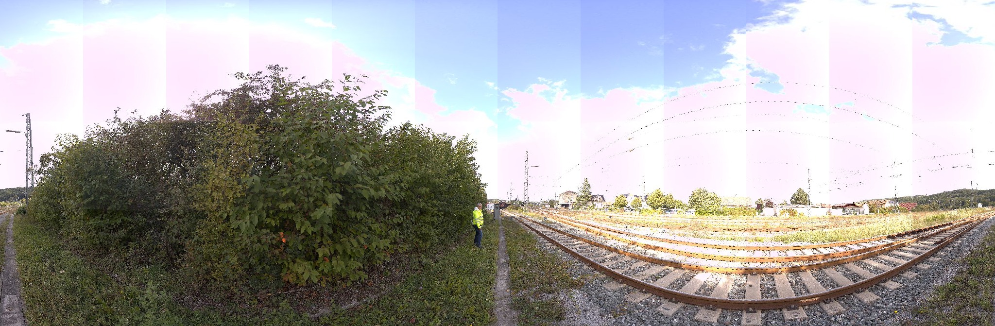 Panorama ScanPos515