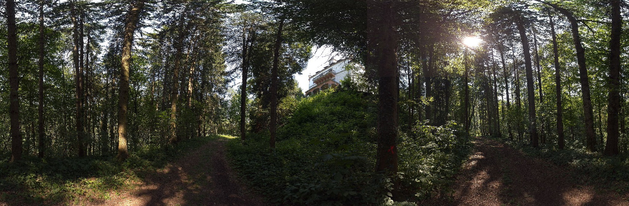 Panorama ScanPos230