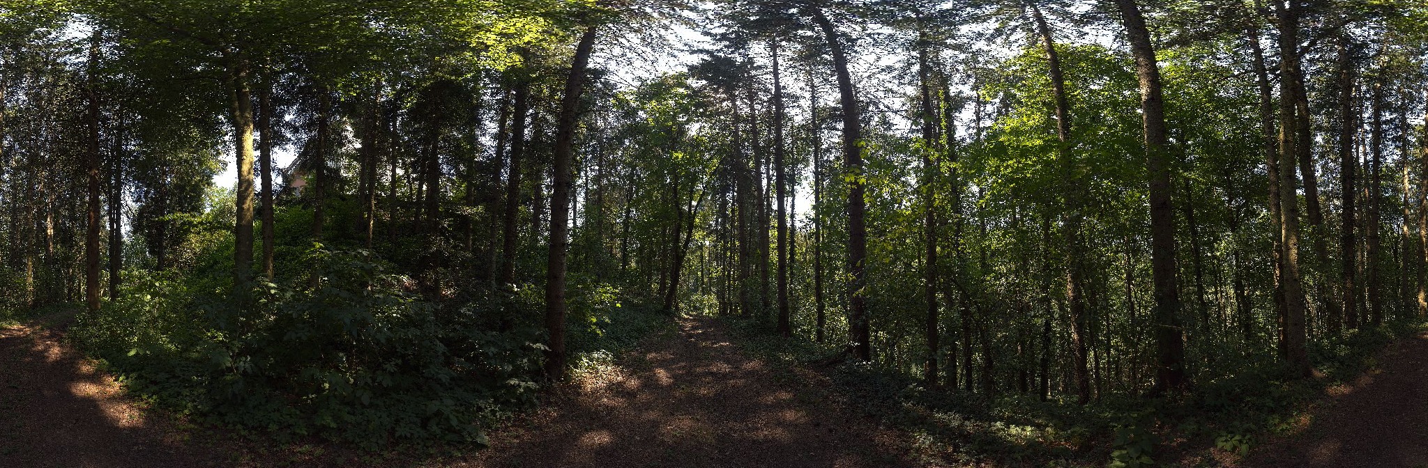 Panorama ScanPos232