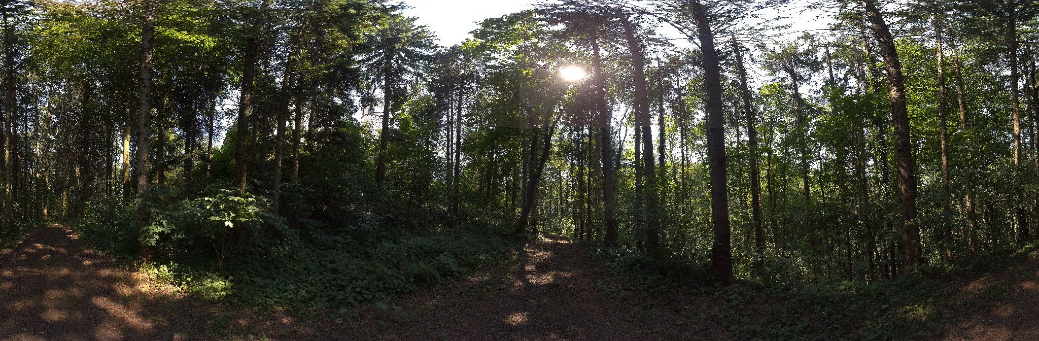Panorama ScanPos233