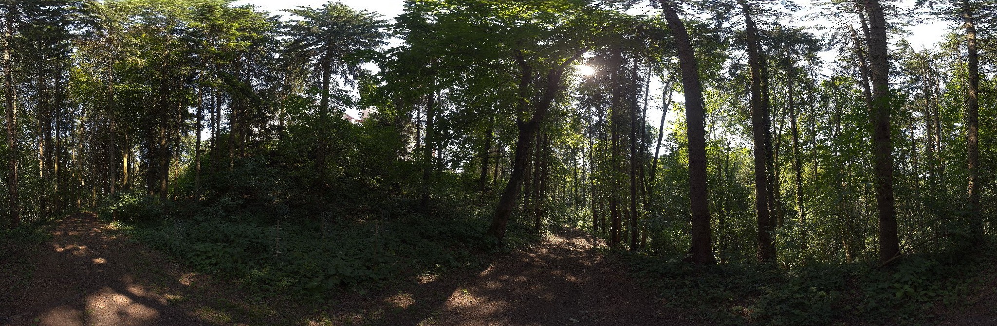 Panorama ScanPos234