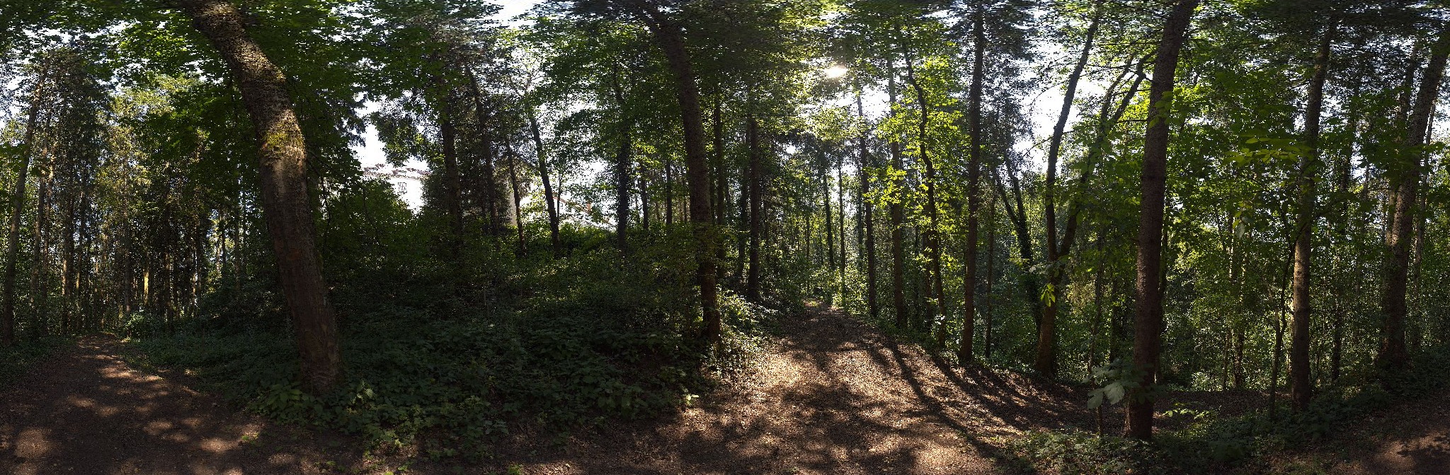 Panorama ScanPos235