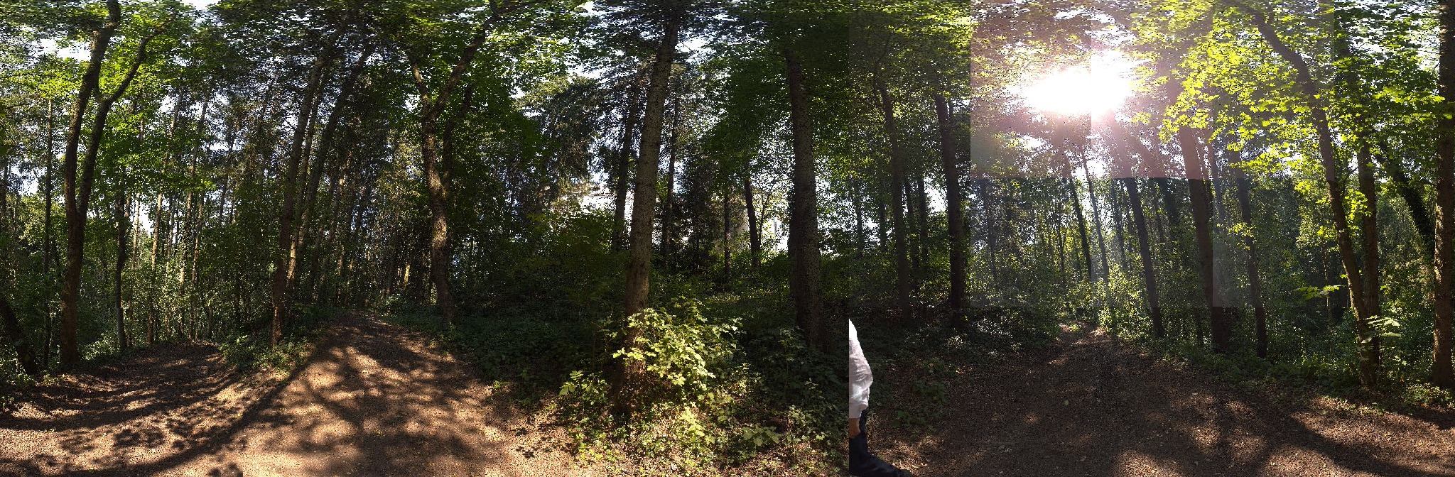 Panorama ScanPos236