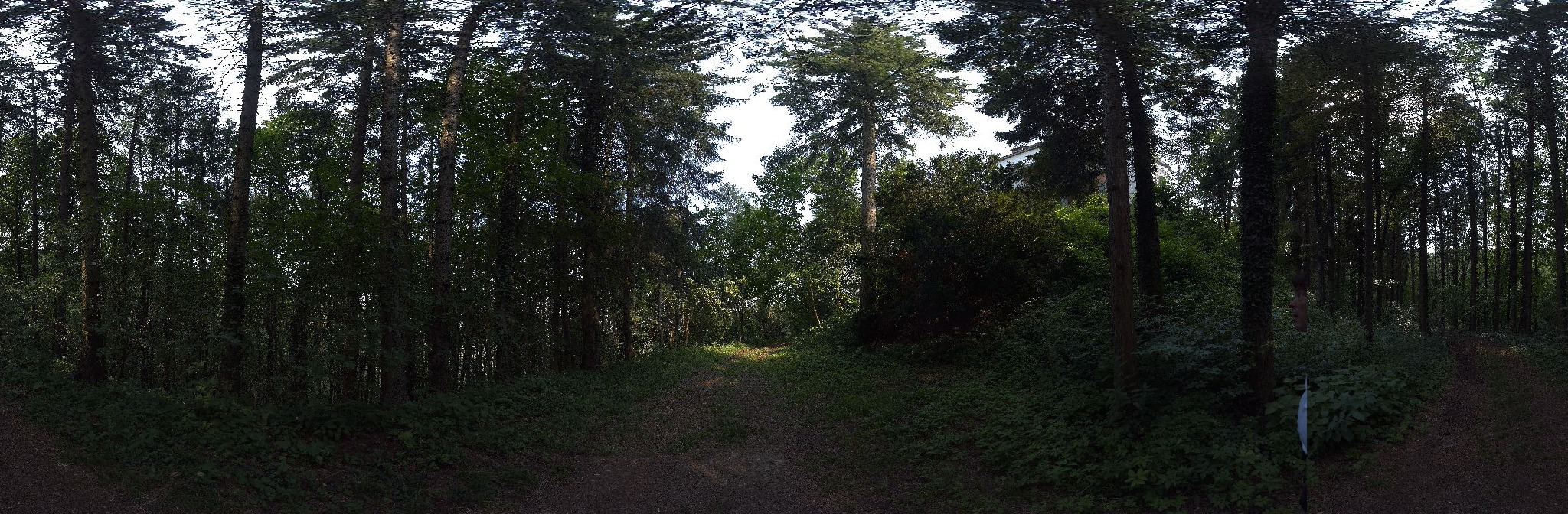 Panorama ScanPos238
