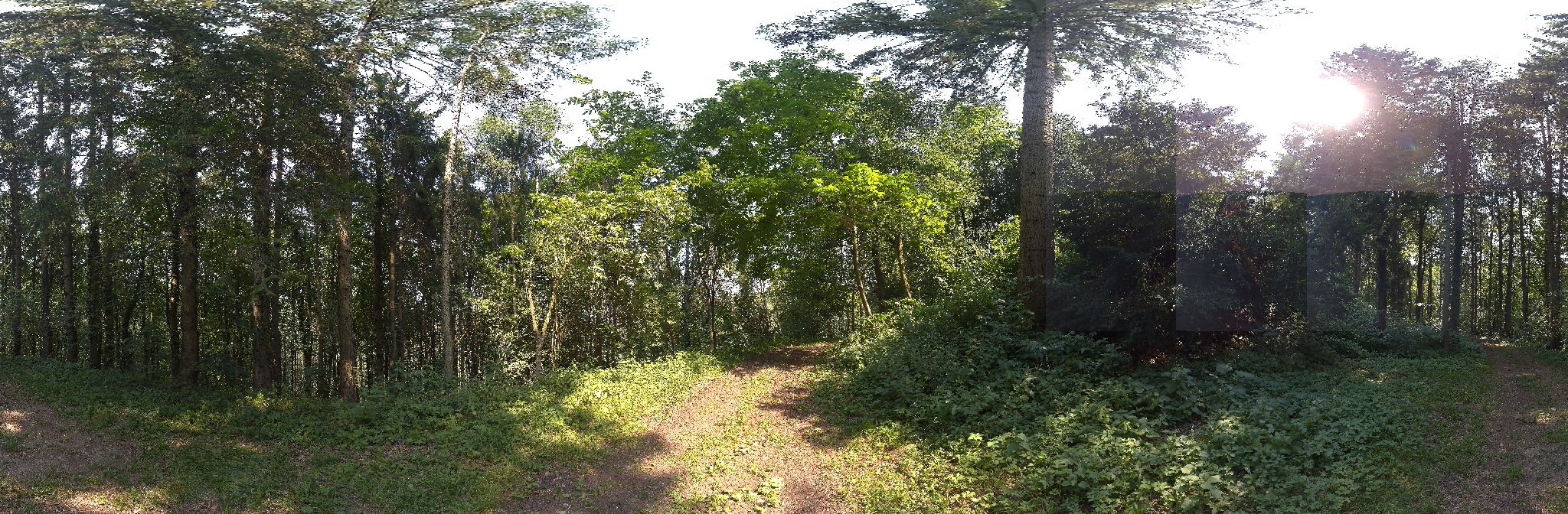 Panorama ScanPos239
