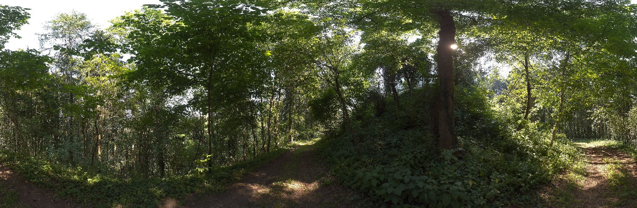 Panorama ScanPos241