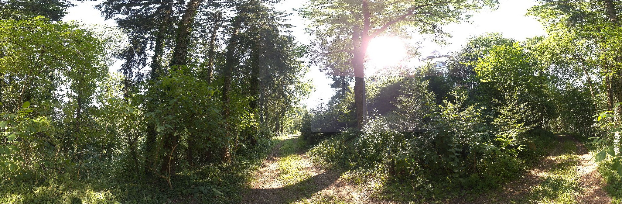 Panorama ScanPos243