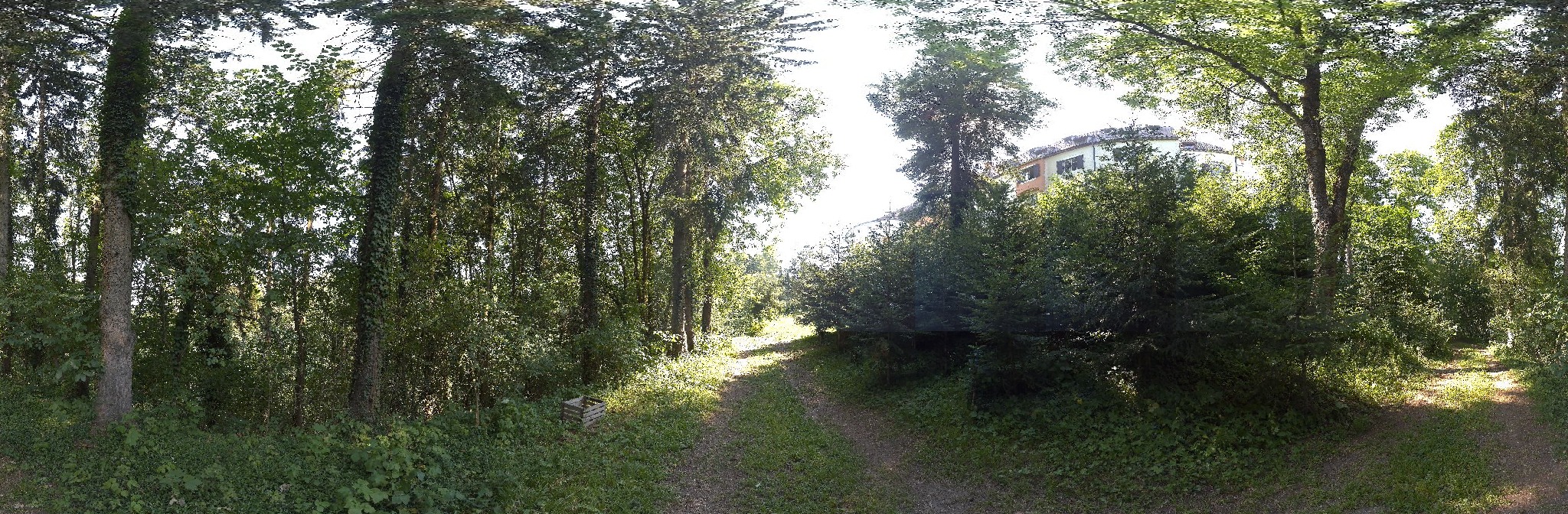 Panorama ScanPos244