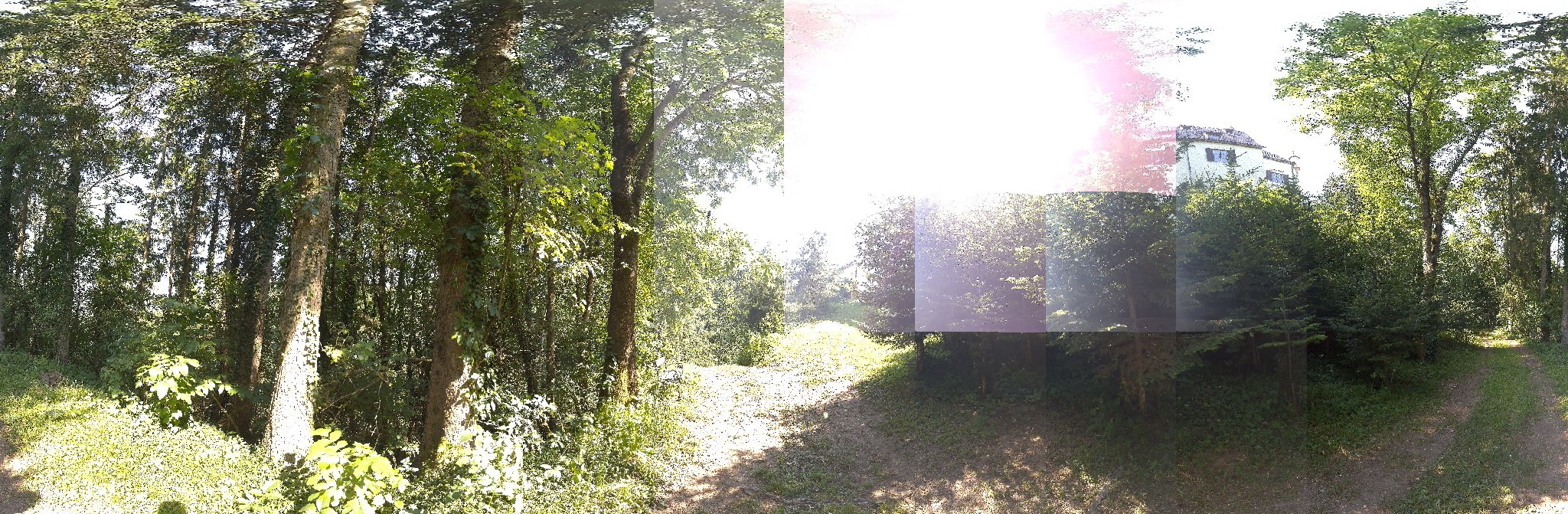 Panorama ScanPos245