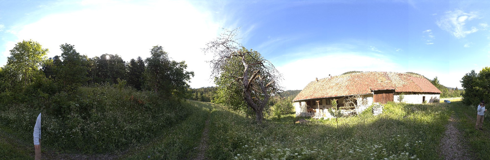 Panorama ScanPos008