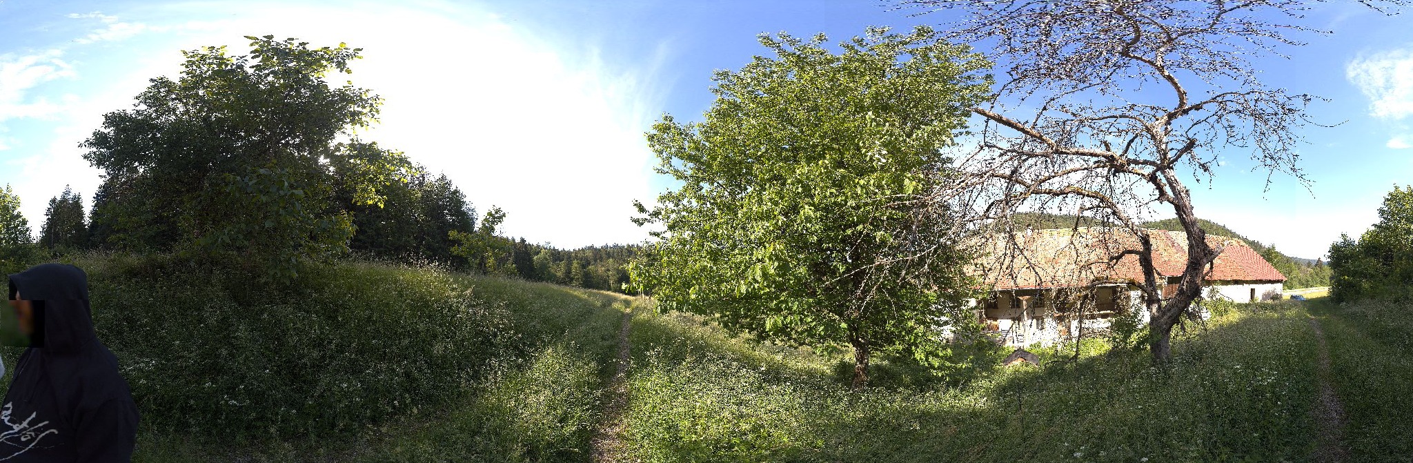 Panorama ScanPos010