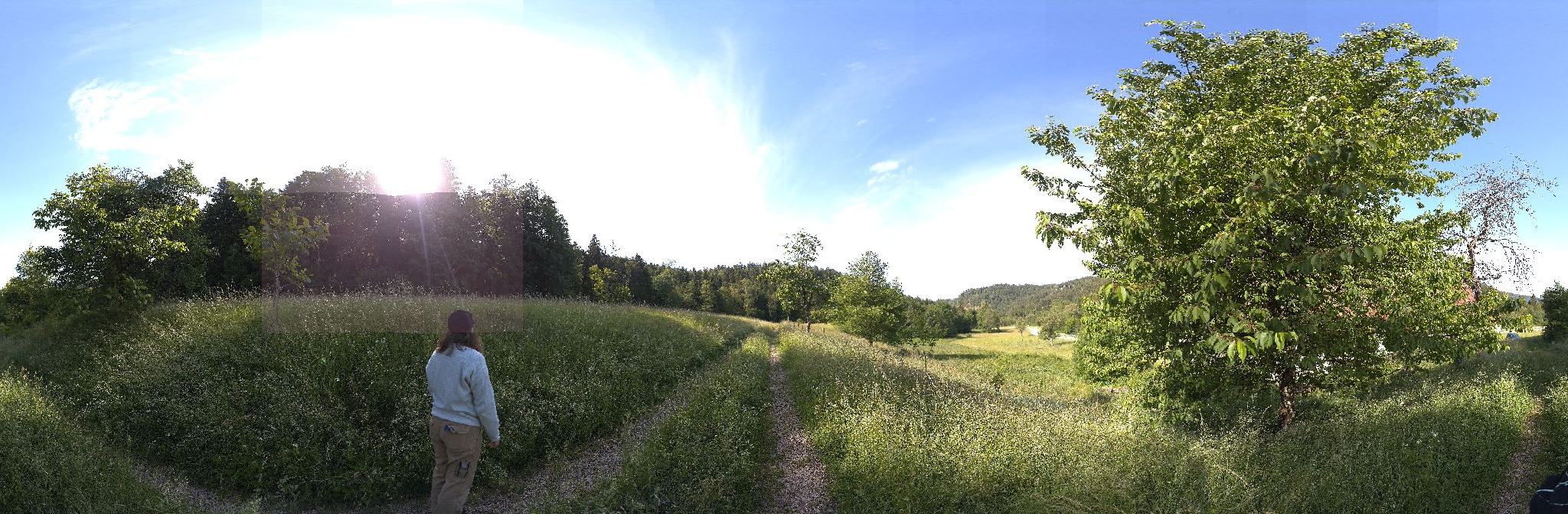 Panorama ScanPos011