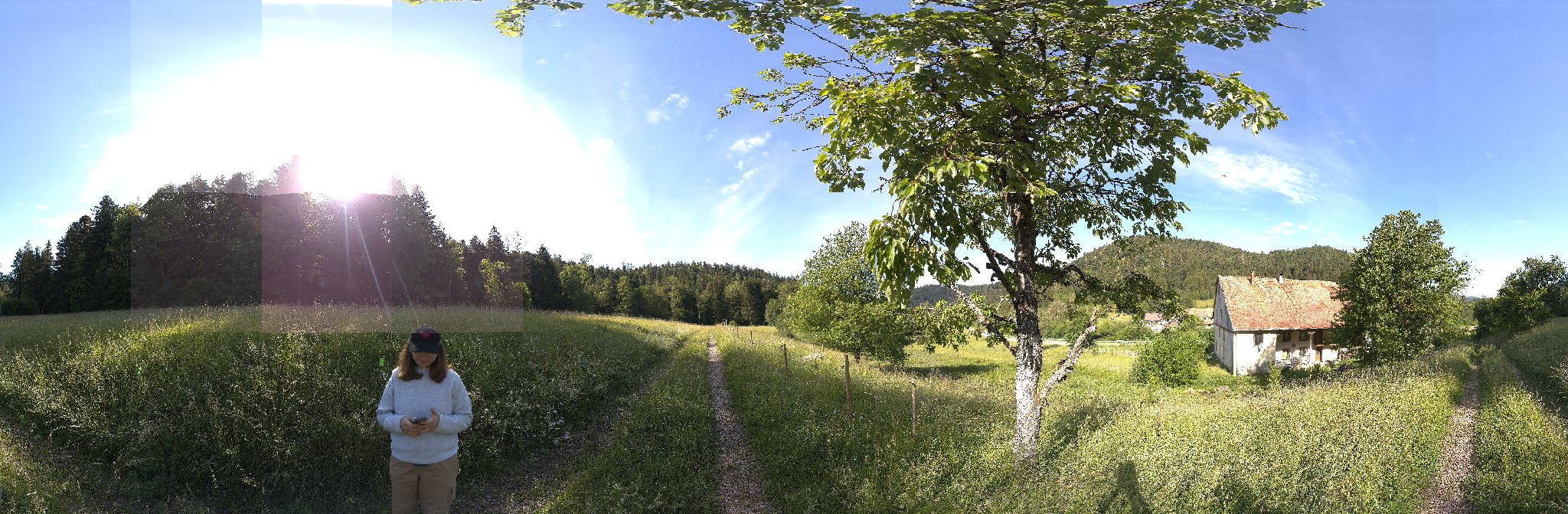 Panorama ScanPos014